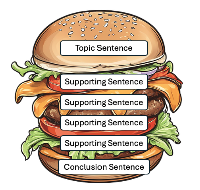 Image shows burger where the top bun is the topic sentence, the fillings are supporting sentences, and the bottom bun is the conclusion sentence